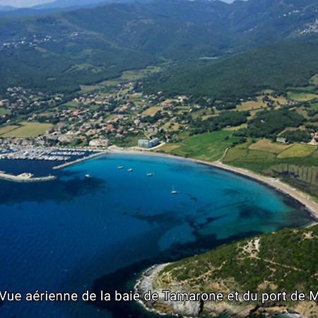 Apartament La Marine Rogliano Zewnętrze zdjęcie